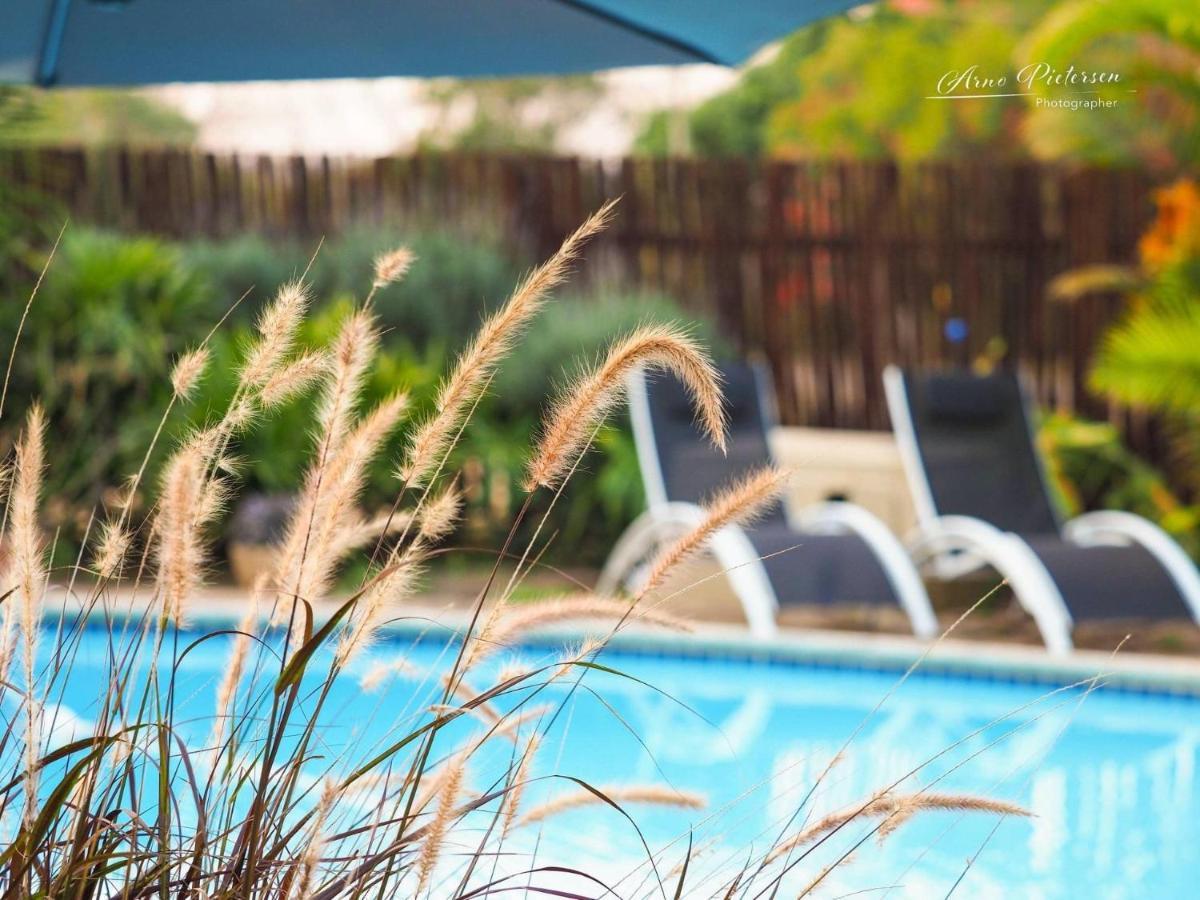 Fever Tree Guesthouse Hillcrest Luaran gambar