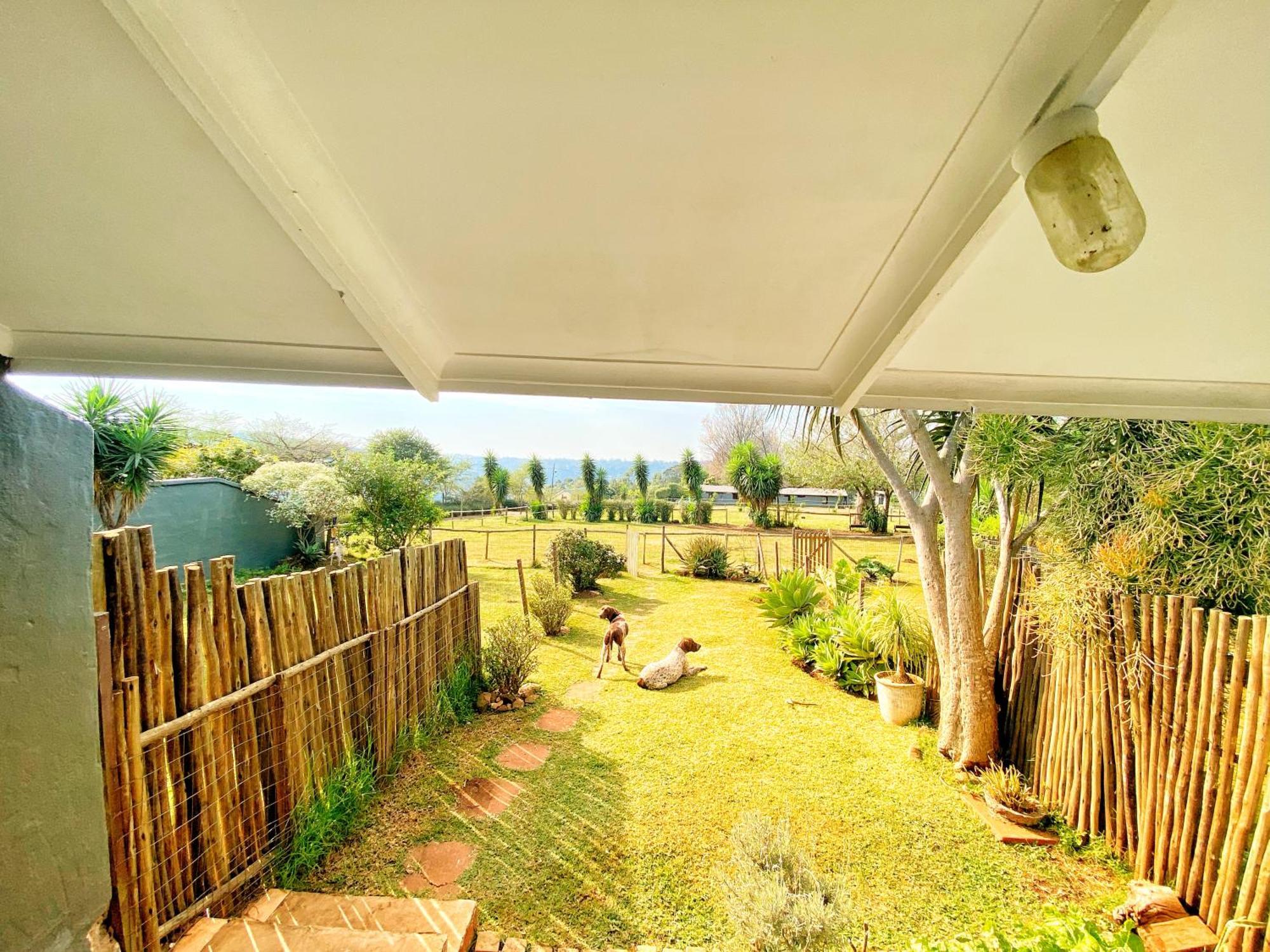 Fever Tree Guesthouse Hillcrest Luaran gambar